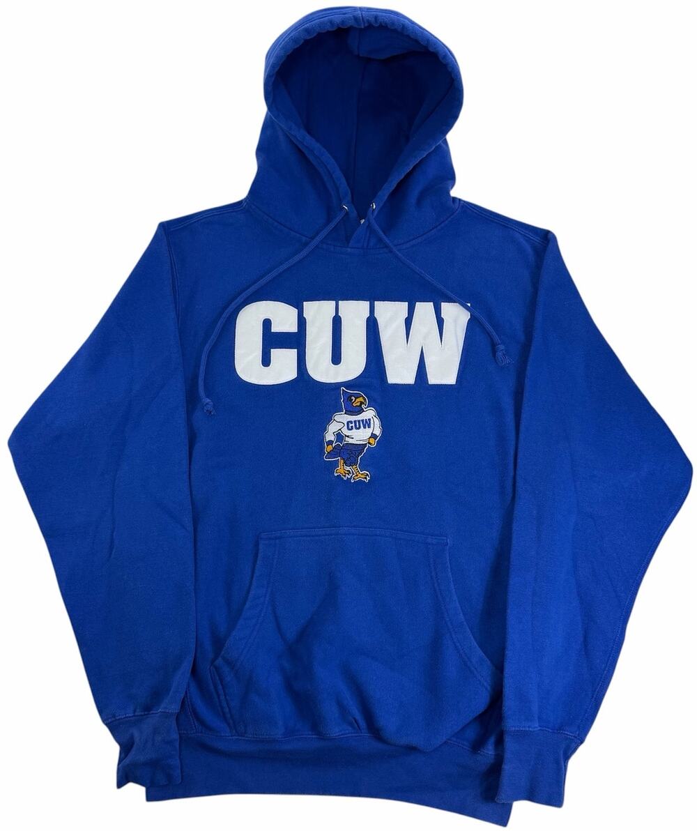 Vintage 90s Concordia University of Wisconsin Falcons Hoodie Men Sz S Sweatshirt